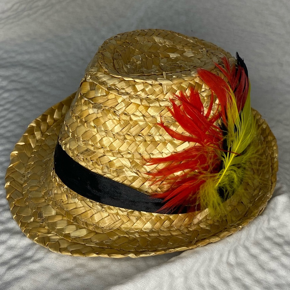 Feathered fedora hat for dogs